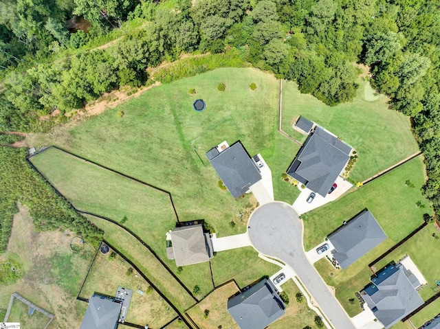 214 Terrapin Cross Way, Simpsonville, SC 29680 - bird's eye view