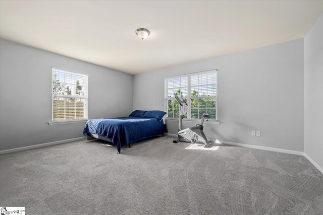 114 Eagles View Ct, Easley, SC 29642 - carpeted bedroom featuring multiple windows