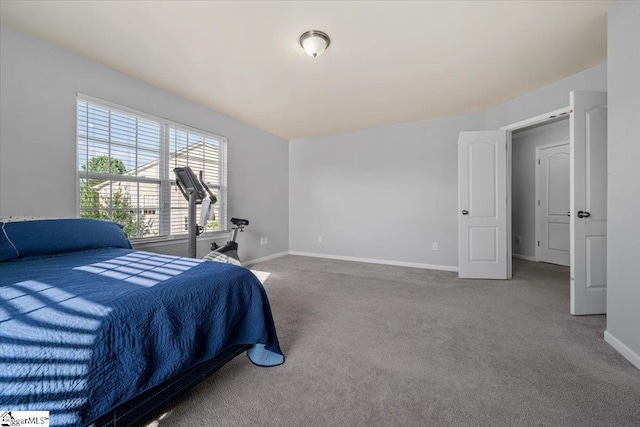 114 Eagles View Ct, Easley, SC 29642 - bedroom featuring baseboards and carpet flooring