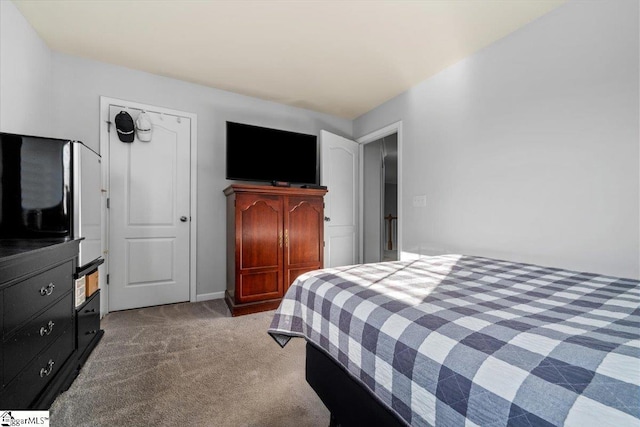 114 Eagles View Ct, Easley, SC 29642 - bedroom with carpet flooring