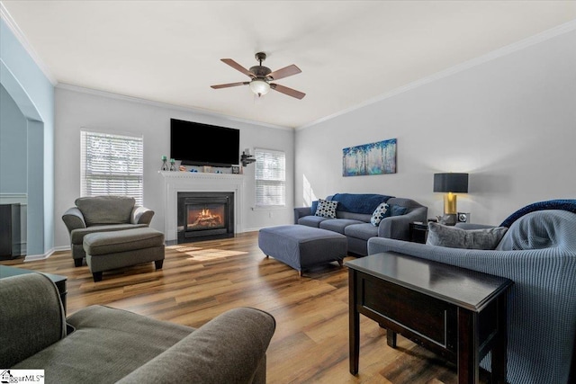 114 Eagles View Ct, Easley, SC 29642 - living area with a glass covered fireplace, healthy amount of natural light, ceiling fan, crown molding, and wood finished floors
