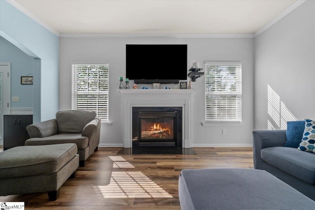 114 Eagles View Ct, Easley, SC 29642 - living room featuring crown molding, a fireplace with flush hearth, healthy amount of natural light, and wood finished floors