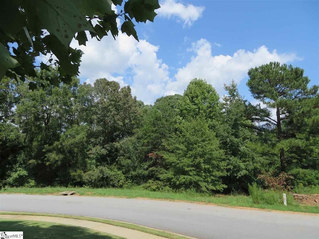 Listing photo 2 for 54 Verona Circle, Simpsonville SC 29681