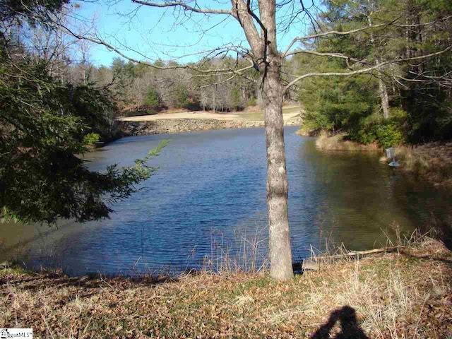 view of water feature