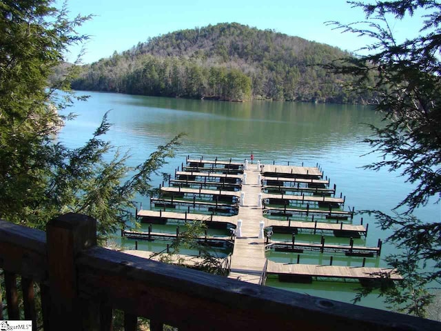 dock area with a water view