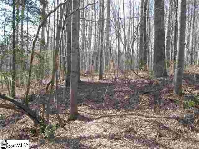 440 Hillandale Road, Liberty SC, 29657 land for sale