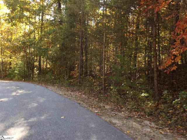 Rocky Road, Cleveland SC, 29635 land for sale