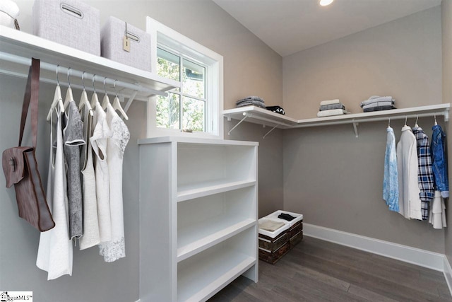 spacious closet with dark hardwood / wood-style floors