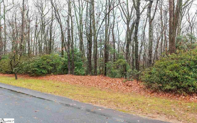 Listing photo 2 for 120 Cliff Ridge Drive, Cleveland SC 29635