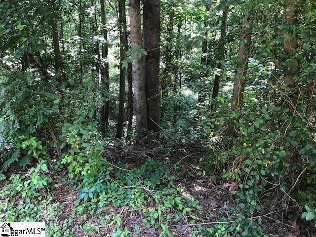 Circleslope Drive, Simpsonville SC, 29681 land for sale