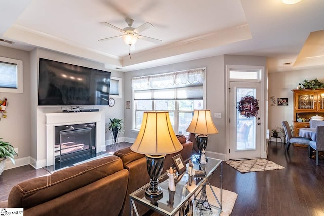 living room with a raised ceiling, dark hardwood / wood-style floors, and ceiling fan