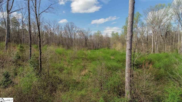 0 W Oak Hill Road, Belton SC, 29627 land for sale