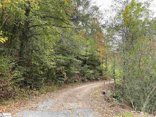 0 Highway 11, Travelers Rest SC, 29690 land for sale