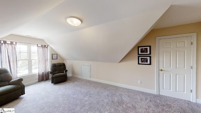 additional living space featuring light carpet and vaulted ceiling