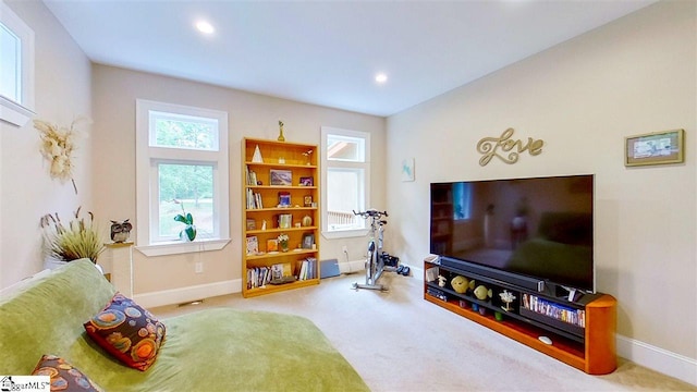 view of carpeted living room