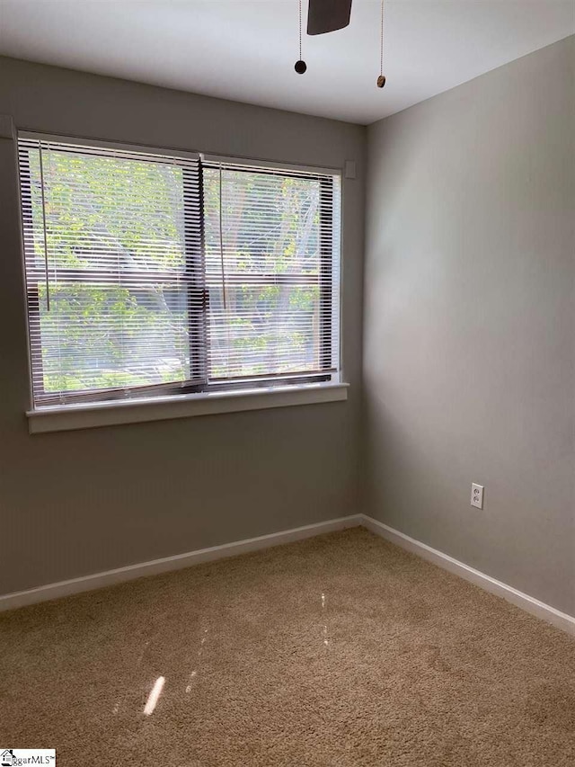 unfurnished room featuring ceiling fan, carpet floors, and a wealth of natural light