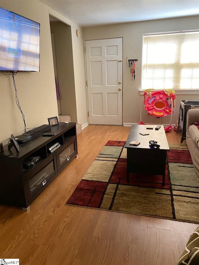 living room featuring light hardwood / wood-style flooring