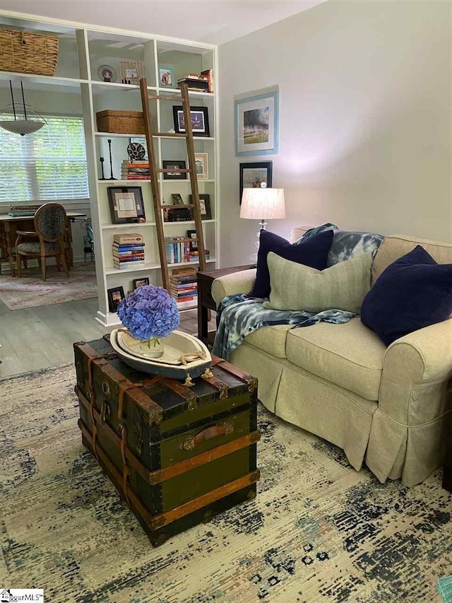 living room with wood-type flooring