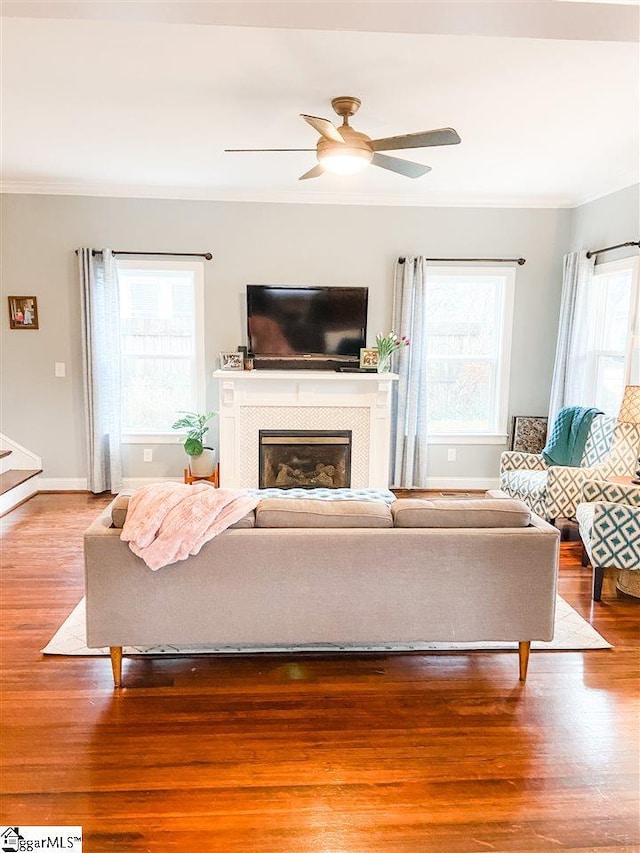 living room featuring a healthy amount of sunlight, ceiling fan, and light wood-type flooring