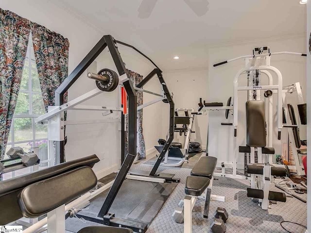 workout area featuring carpet floors