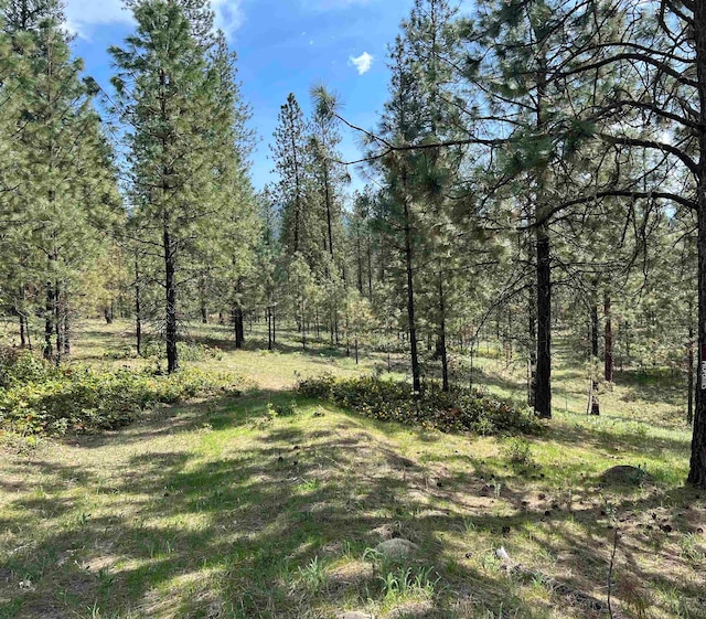 XXX N Junco Way, Kettle Falls WA, 99141 land for sale