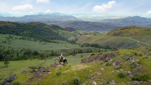 view of mountain feature