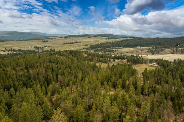 179XX E Belmont Rd Lot # 1, Mica WA, 99023 land for sale