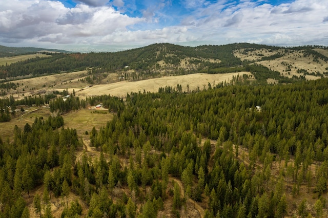 Listing photo 2 for 179XX E Belmont Rd Lot # 1, Mica WA 99023