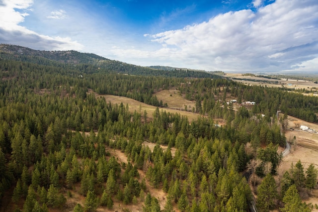 Listing photo 3 for 179XX E Belmont Rd Lot # 1, Mica WA 99023