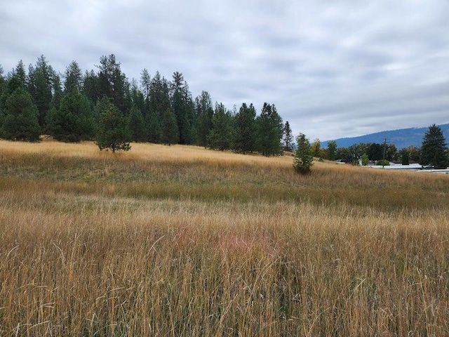 Listing photo 2 for TBD S Elm St, Colville WA 99114