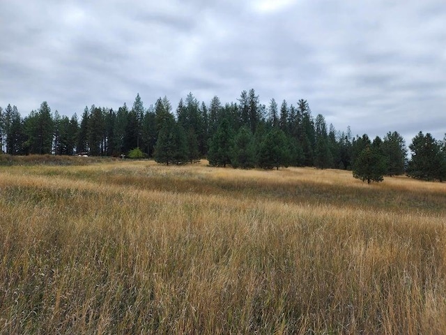 Listing photo 3 for TBD S Elm St, Colville WA 99114