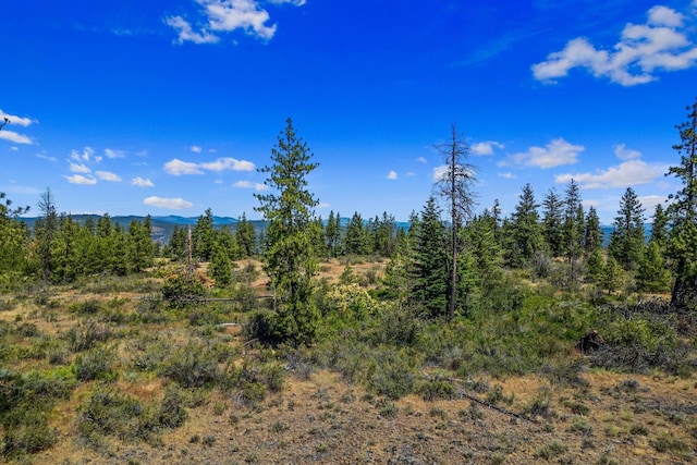 51200 E Whispering Pines Dr, Reardan, WA 99029 - photo 1