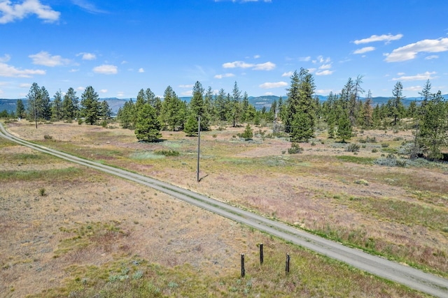 51200 E Whispering Pines Dr, Reardan, WA 99029 - photo 5