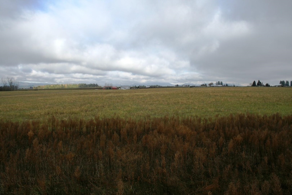 LOT3 Mule Deer Ln, Deer Park, WA 99006 - photo 1