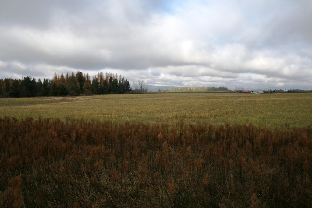 LOT3 Mule Deer Ln, Deer Park, WA 99006 - photo 2