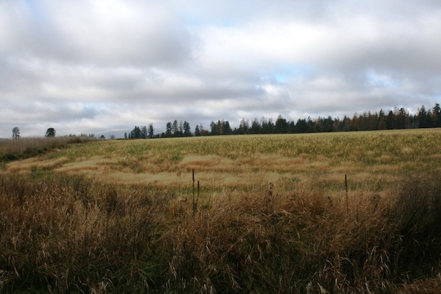 LOT2 Mule Deer Ln, Deer Park, WA 99006 - photo 2
