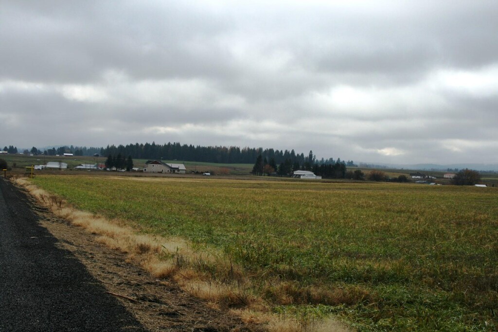 LOT2 Mule Deer Ln, Deer Park, WA 99006 - photo 3