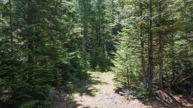 671 Osprey Dr, Cusick, WA 99119 - photo 13