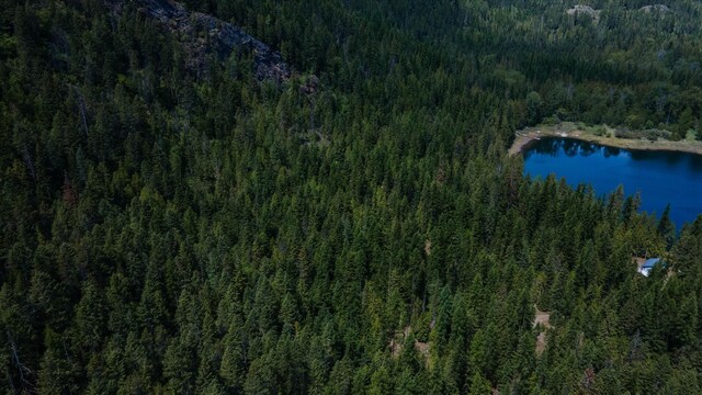 671 Osprey Dr, Cusick, WA 99119 - photo 5