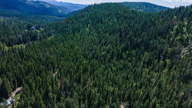 671 Osprey Dr, Cusick, WA 99119 - photo 6