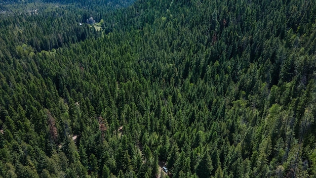 671 Osprey Dr, Cusick, WA 99119 - photo 8