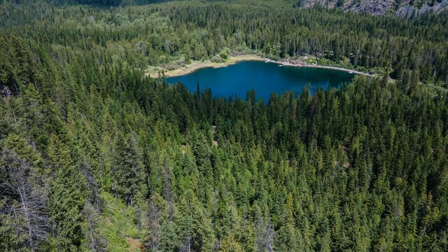 671 Osprey Dr, Cusick, WA 99119 - photo 9
