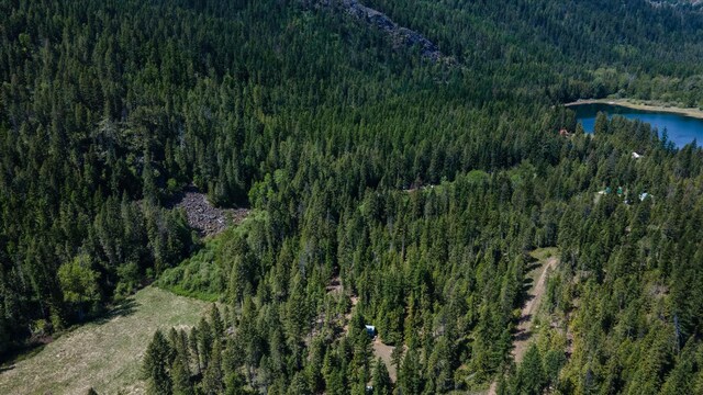 671 Osprey Dr, Cusick, WA 99119 - photo 10