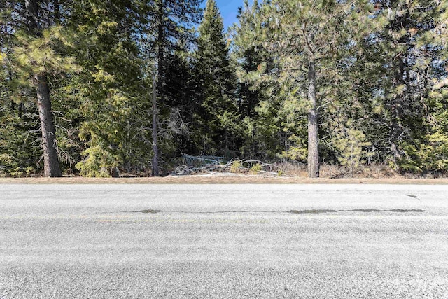 4631 Camden Rd, Newport, WA 99156 - photo 13