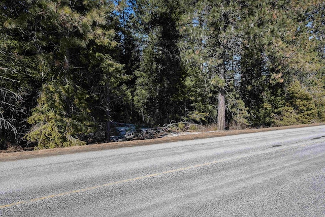 4631 Camden Rd, Newport, WA 99156 - photo 14