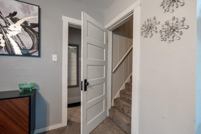 staircase with carpet