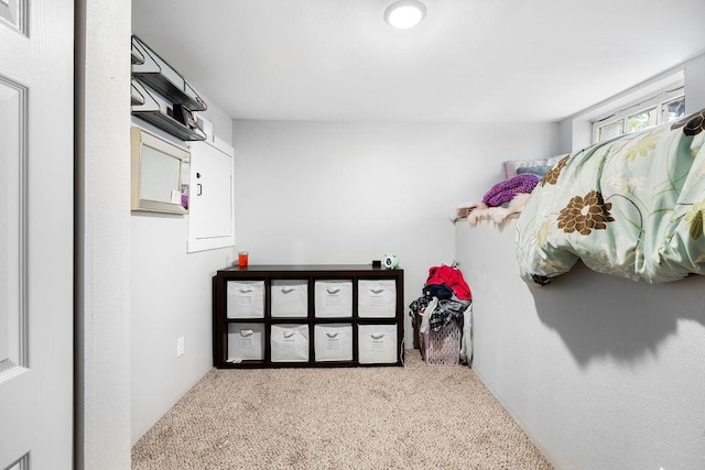 walk in closet featuring carpet floors