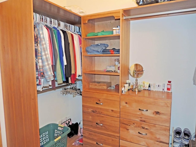 35025 Mourning Dove Ln N, Davenport, WA 99122 - view of walk in closet
