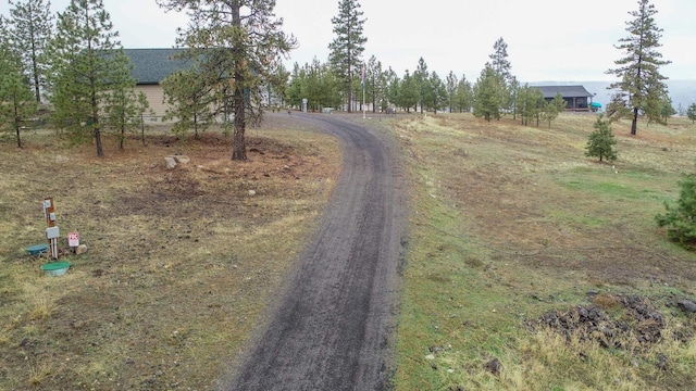 35025 Mourning Dove Ln N, Davenport, WA 99122 - view of dirt / gravel road