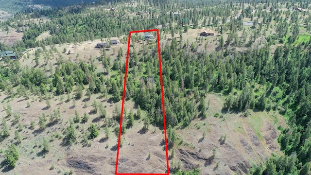 35025 Mourning Dove Ln N, Davenport, WA 99122 - aerial view of property and surrounding area with a heavily wooded area and property boundaries highlighted